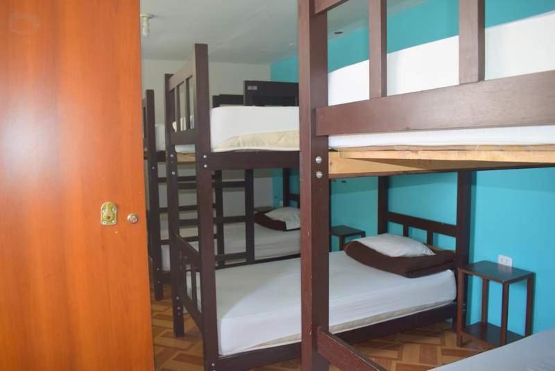 Cama en habitación compartida mixta de 8 camas